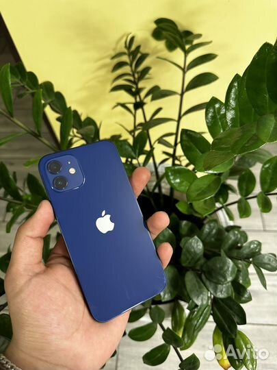 iPhone 12, 128 ГБ