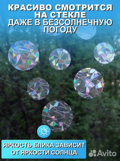 Ловец солнца