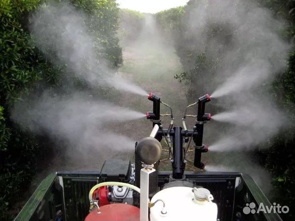 Уничтожение насекомых вывести тараканов