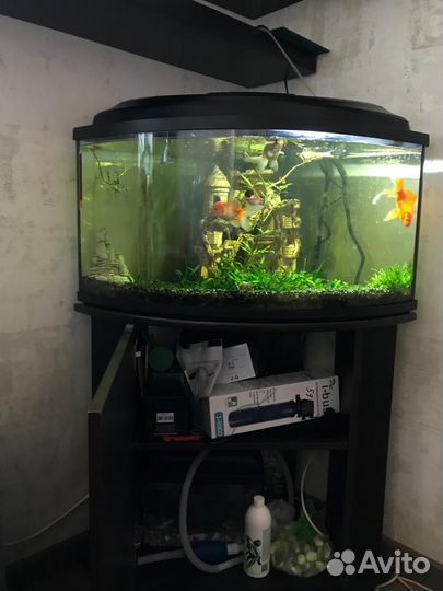 Аквариум с тумбой + принадлежности