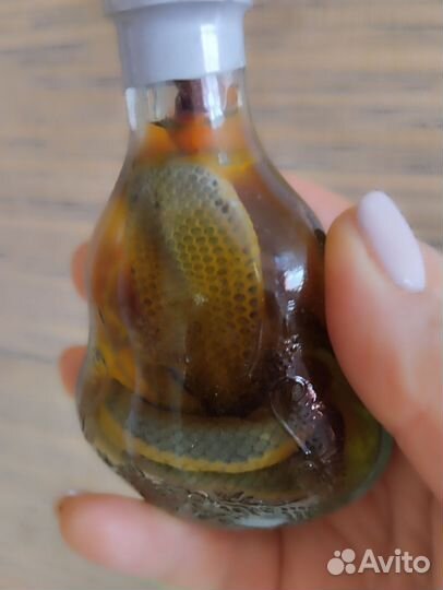 Змея консервированная