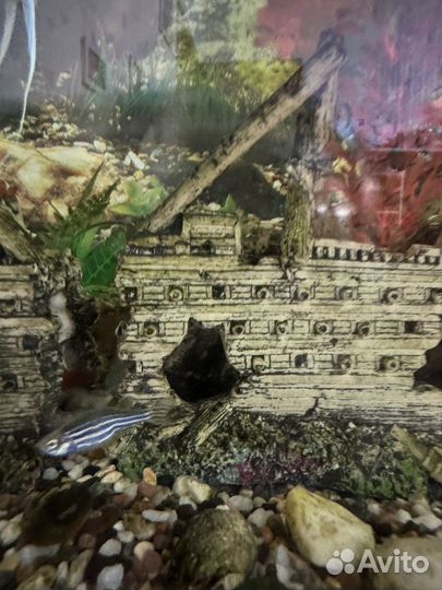 Аквариум с тумбой