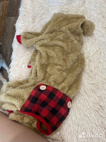 Собачья одежда