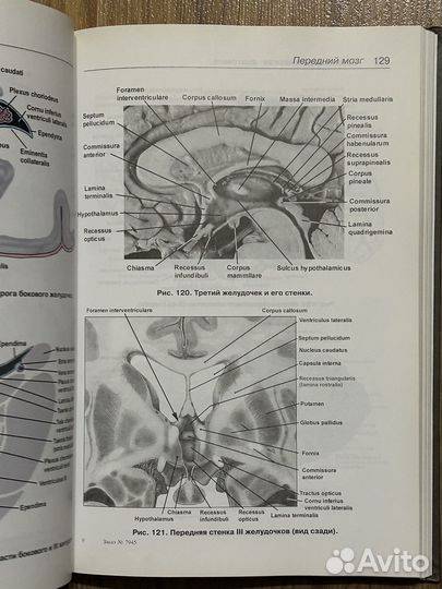 Нейрохирургическая анатомия Пуцилло 2 том
