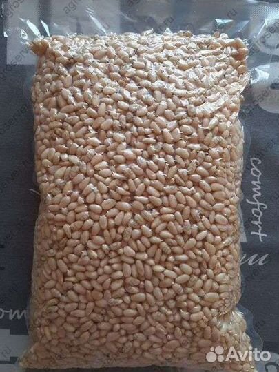 Ядро кедрового ореха