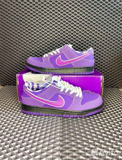 Кроссовки Nike SB Dunk Low Purple Lobster