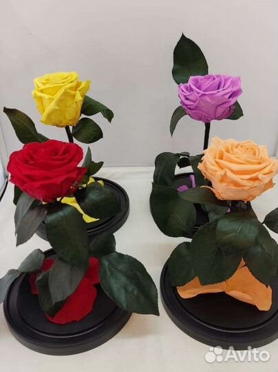 Роза в колбе