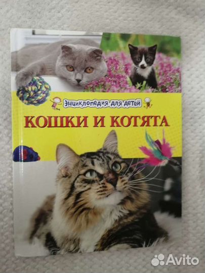 Детская книга