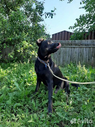 Невероятный Космос ищет дом