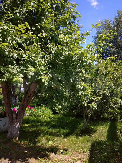 Дом 64,8 м² на участке 11,6 сот.