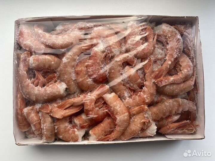 Лангустины C0, C1, L1