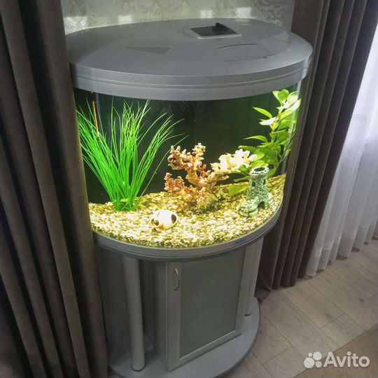 Аквариум