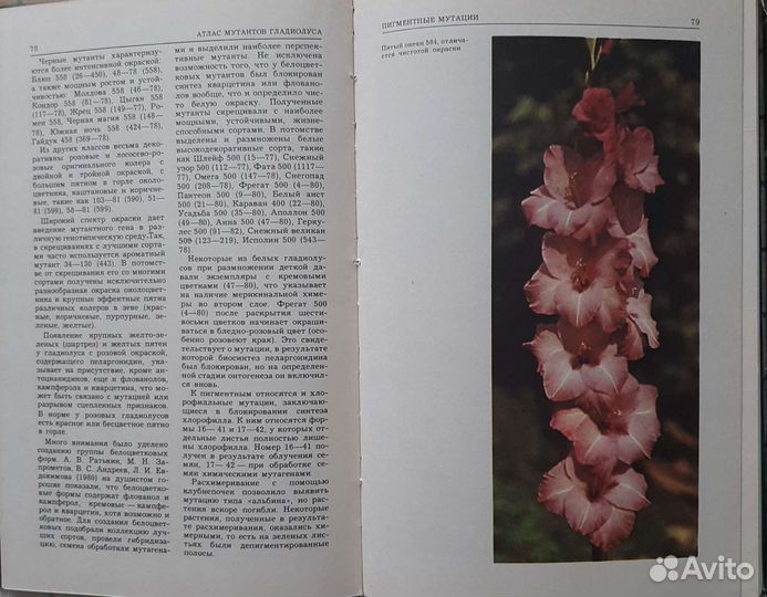 Книги.атлас.растения