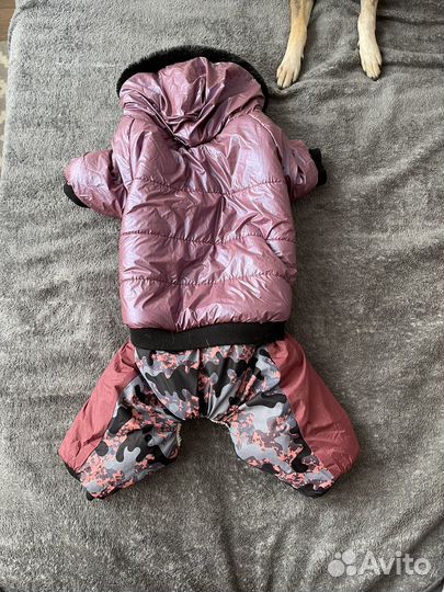 Одежда для собак комбинезон