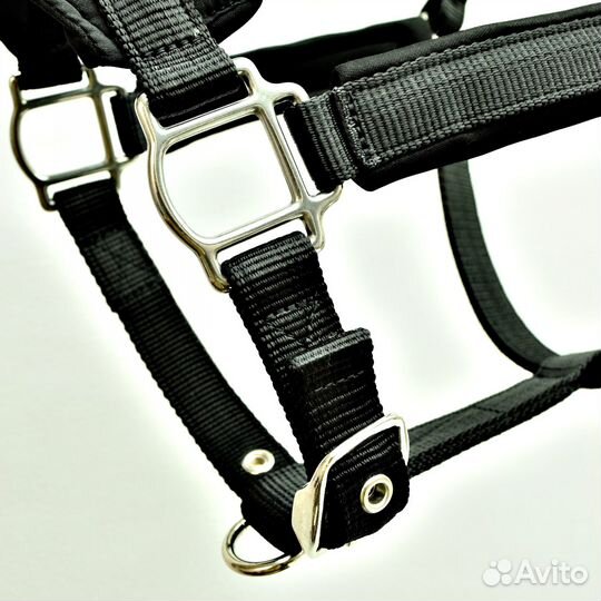 Недоуздок на неопрене для лошадей и пони