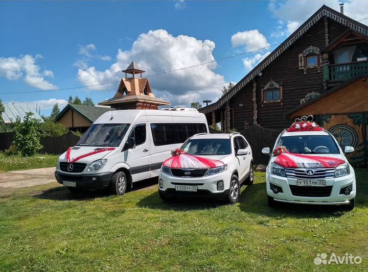 Автобусы и автомобили на свадьбу
