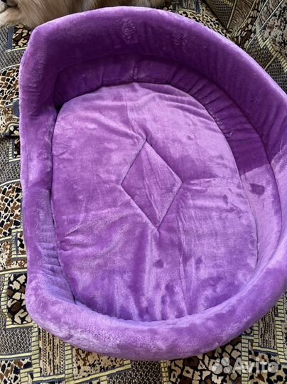 Лежанка для собак