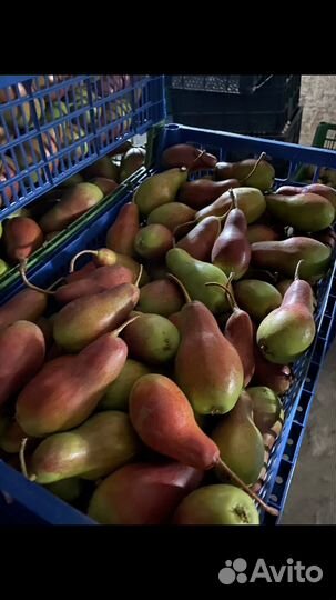 Груши
