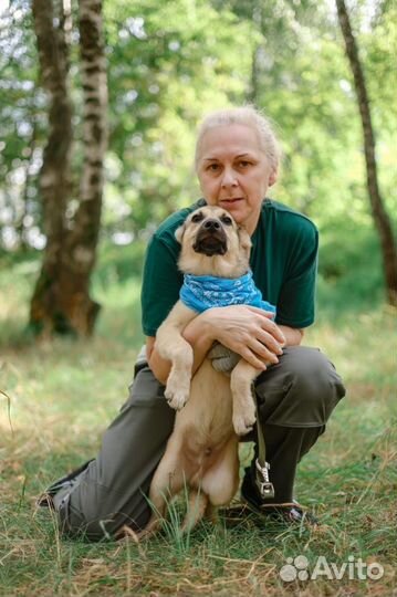 Ищем дом маленькому мальчику