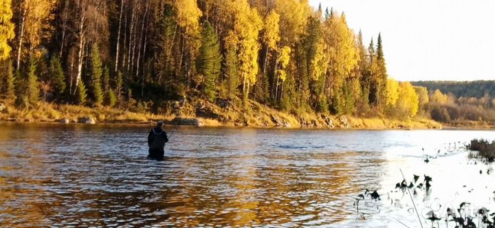 Рыбалка на хариуса