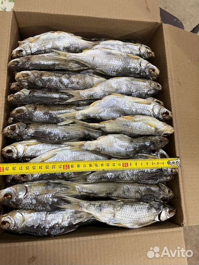 Вяленая рыба оптом и в розницу