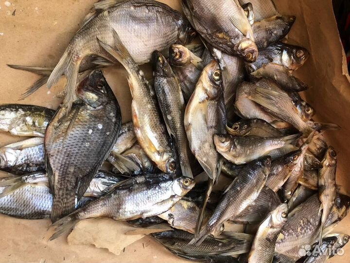 Рыба вяленая к пиву свежая плотва таранька