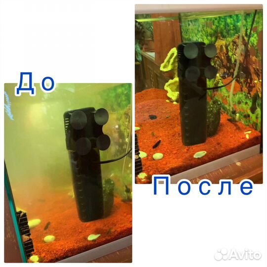 Обслуживание аквариума (чистка)