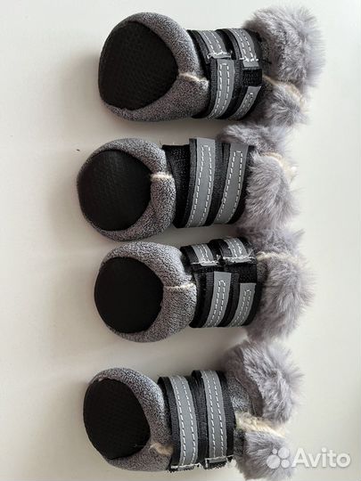 Обувь для маленьких собак