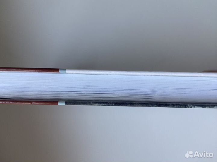 Книга А С Пушкин Дубровский, Капитанская дочка