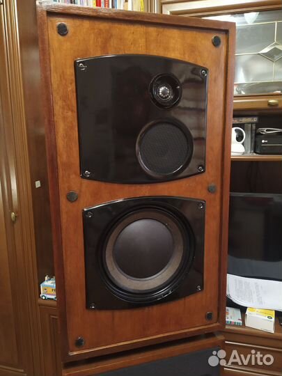 Колонки 35 ас-008 «Корвет»