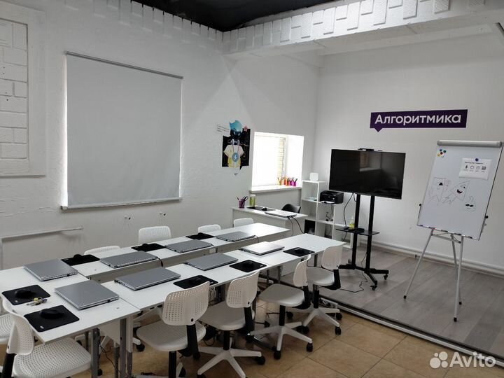 Франшиза школы программирования