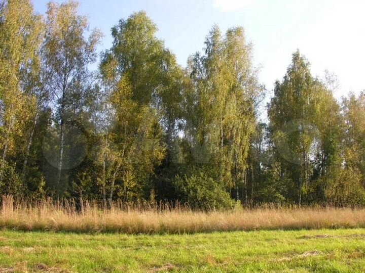 Участок 71,5 сот. (СНТ, ДНП)