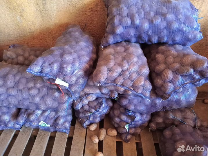 Картофель оптом