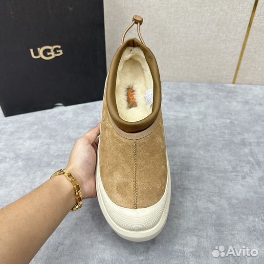 Слипоны ugg мужские