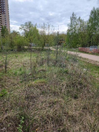 Участок 30 сот. (ИЖС)