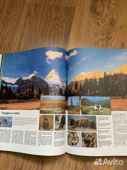 Атлас мира географический