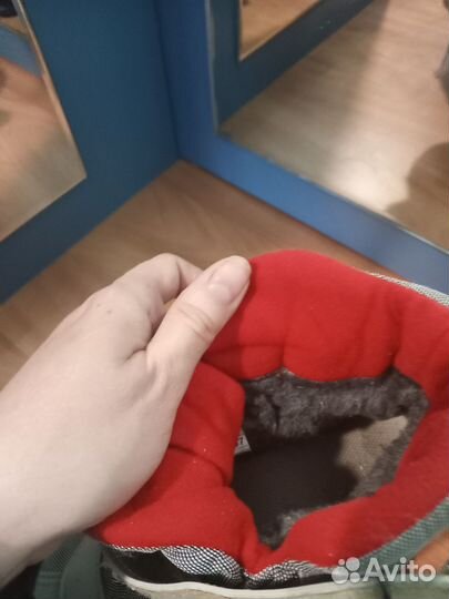 Лыжные ботинки