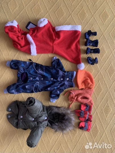 Одежда для маленьких собак