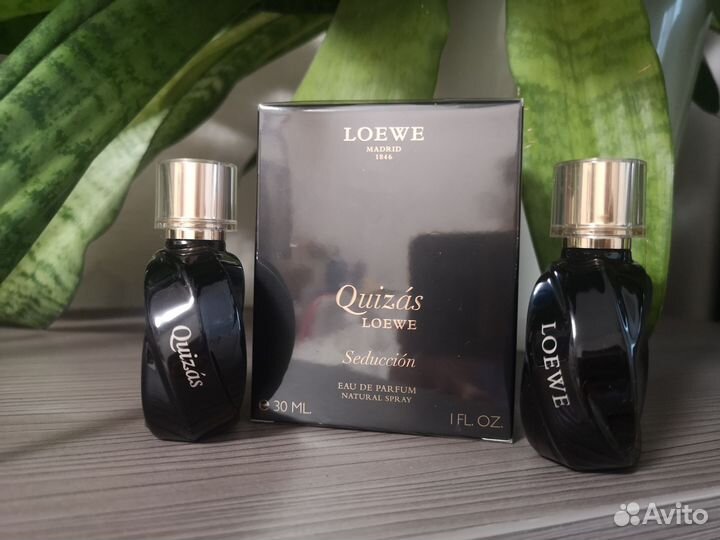 Loewe Quizas seduccion