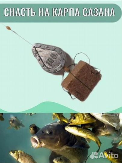 Макушатник