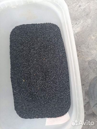 Семена лука чернушка