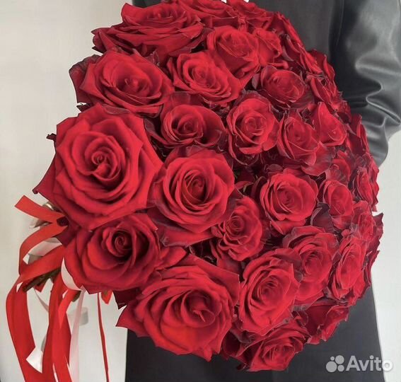 Розы Эквадор. Цветы с Доставкой