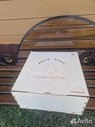 Сеянцы сосны обыкновенной зкс в розницу