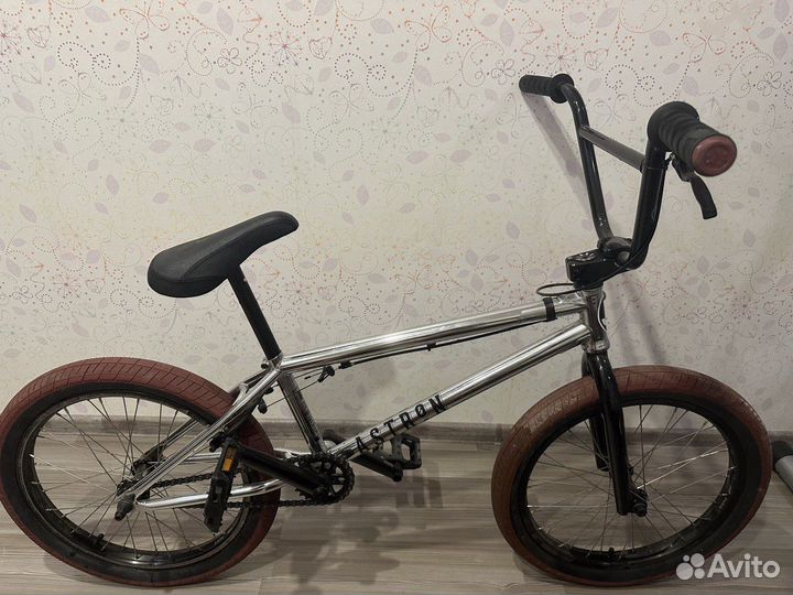 BMX radio astron