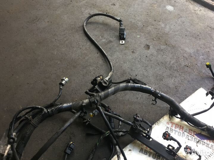 Форд C-Max Проводка моторная