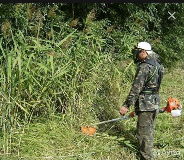 Сад благоустройство