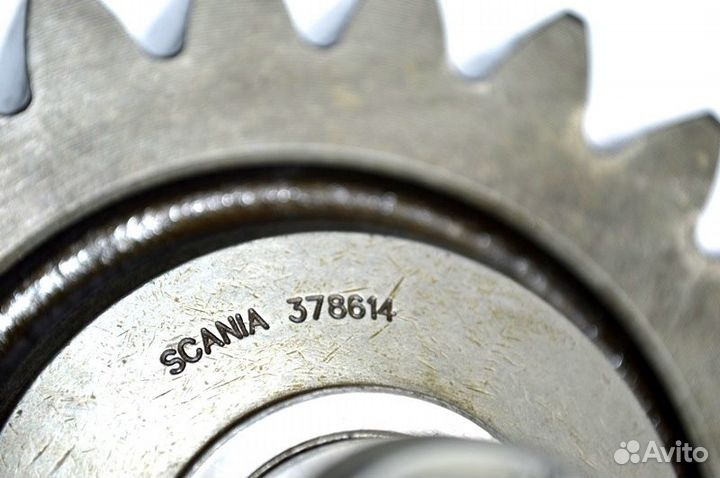 Шестерня коробки передач scania 4-series 164 (01.95-12.04)