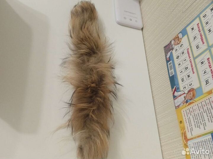 Опушка на капюшон (енот)