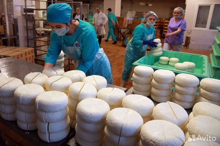 Упаковщица на производство сыра оплата ежедневно