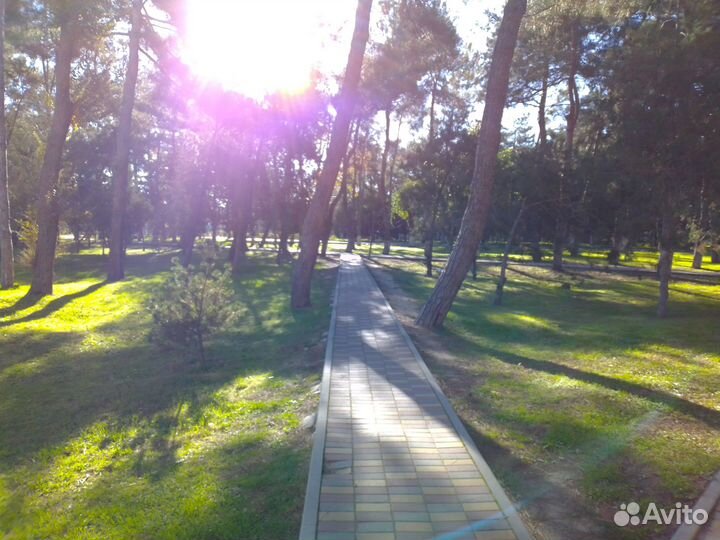 Сдам апартамент